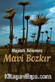 Mavi Bozkır