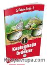 Kaplımbağa ve Ördekler