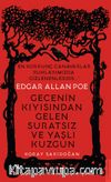 Edgar Allan Poe / Gecenin Kıyısından Gelen Suratsız ve Yaşlı Kuzgun