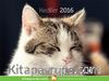 2016 Kitapyurdu Masa Takvimi (Kediler)