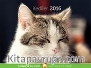 2016 Kitapyurdu Masa Takvimi (Kediler)