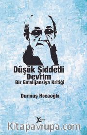Düşük Şiddetli Devrim <br /> Bir Entelijansiya Kritiği