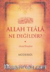 Allah Teala Ne Değildir?
