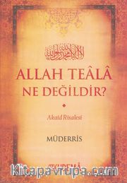 Allah Teala Ne Değildir?