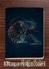 Harry Potter - Ravenclaw Dokun Hisset Serisi (AD-HP048) Lisanslı Ürün
