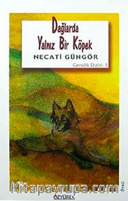 Dağlarda Yalnız Bir Köpek
