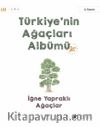 Türkiye’nin Ağaçları Albümü İğne Yapraklı Ağaçlar