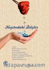 Kuytudaki Düşler