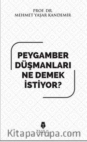 Peygamber Düşmanları Ne Demek İstiyor?