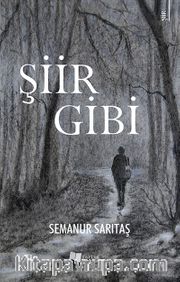 Şiir Gibi
