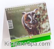 2021 Kitapyurdu Masa Takvimi (Baykuş ve Kitap)