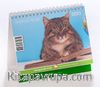 2021 Masa Takvimi (Kedi ve Kitap)