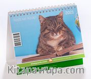 2021 Masa Takvimi (Kedi ve Kitap)