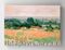 564324