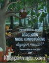 Ağaçların Nasıl Konuştuğunu Duyuyor Musun? & Ormanda Küçük Bir Keşif Gezisi