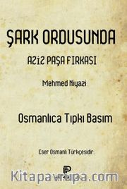 Şark Ordusunda Aziz Paşa Fırkası