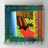 Full Frame Rulo Kanvas - Howard Hodgkin - Red Bermudas (FF-KT083)