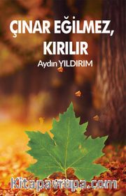 Çınar Eğilmez, Kırılır