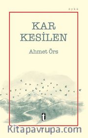 Kar Kesilen