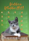 2021 Takvimli Poster - Kediler ve Kitaplar - Yesil