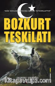 Bozkurt Teşkilatı