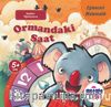 Ormandaki Saat  / Eğlenceli Matematik