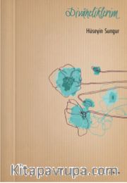 Divaneliklerim