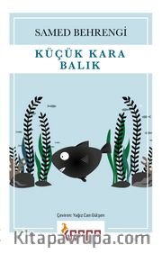 Küçük Kara Balık