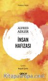 İnsan Cinsiyeti
