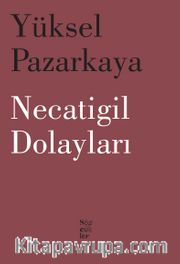 Necatigil Dolayları