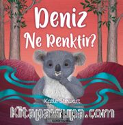 Deniz Ne Renktir? 