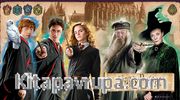 Harry Potter - Hogwarts Ahşap Puzzle 10000 Parça (KOP-HP273-10M) Lisanslı Ürün