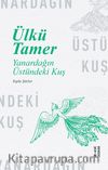 Yanardağın Üstündeki Kuş