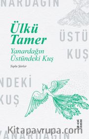 Yanardağın Üstündeki Kuş