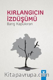 Kırlangıcın İzdüşümü