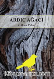 Ardıç Ağacı