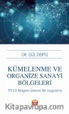 Kümelenme ve Organize Sanayi Bölgeleri:  TR 63 Bölgesi Üzerine Bir Uygulama