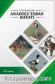 Günümüzde  Anadoluda Yaban Hayatı