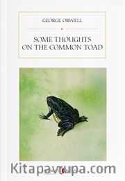 Some Thoughts on the Common Toad