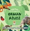 Bilgi Dolu İlk Kitaplarım / Orman Ailesi
