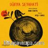 Dünya Seyahati