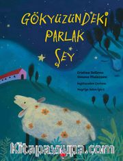 Gökyüzündeki Parlak Şey