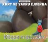 Kurt ve Yavru Ejderha