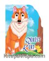 Şekilli Kitaplar / Dürüst Kurt 
