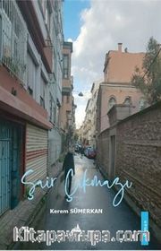 Şair Çıkmazı