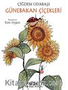 Günebakan Çiçekleri