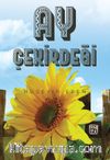 Ay Çekirdeği
