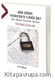 Bir Şiire Nereden Girilir?