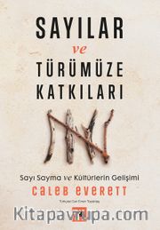 Sayılar ve Türümüze Katkıları: Sayı Sayma ve Kültürlerin Gelişimi 