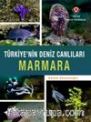 Marmara - Türkiye'nin Deniz Canlıları